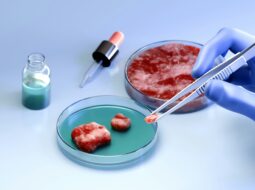 Regenerative Medicine